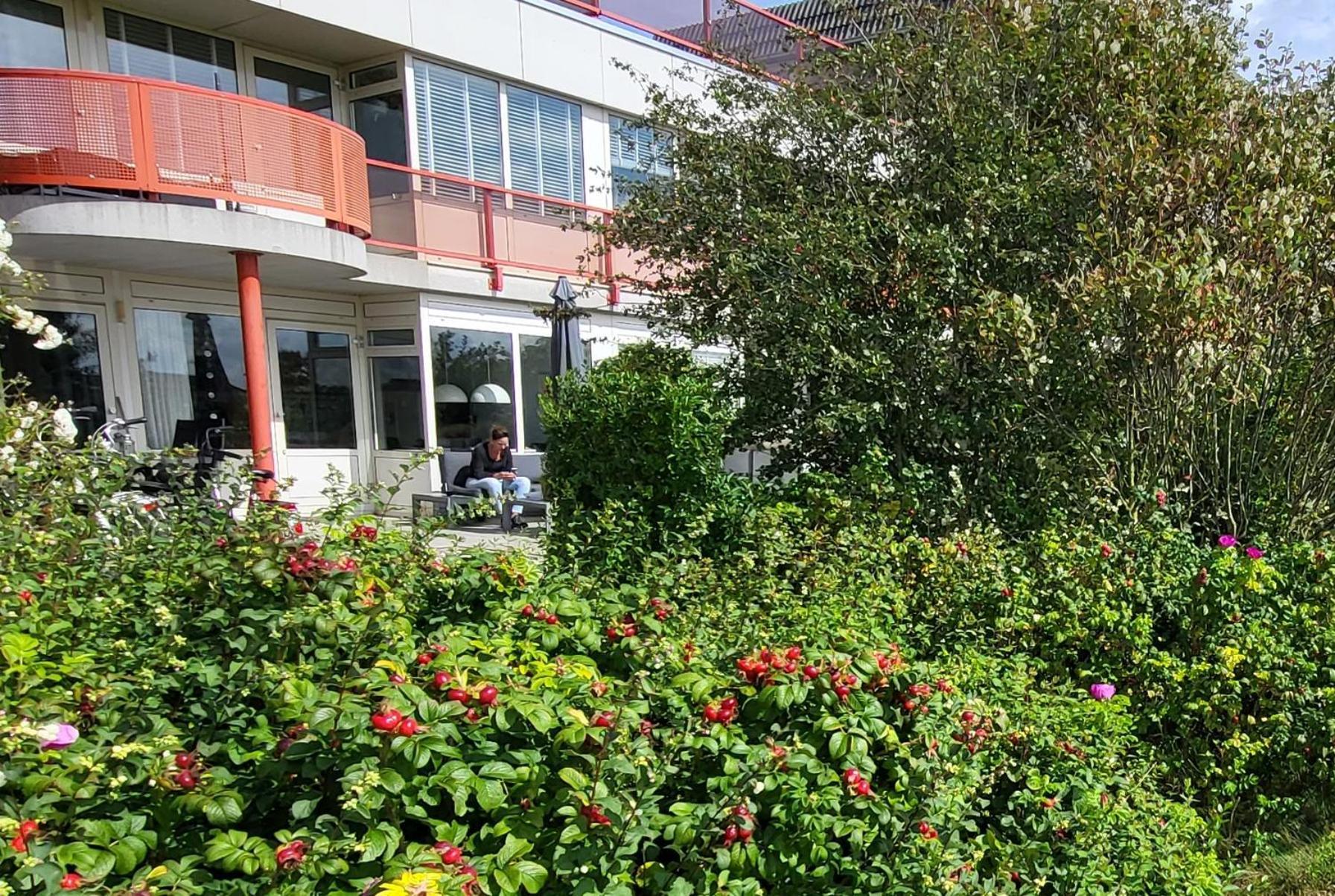 בורן Duinzicht, Amelander Paradijs, Zonnig 6 Persoons Appartement Met Groot Terras Op De Begane Grond, Vrij Uitzicht, Upgrade 2024 מראה חיצוני תמונה